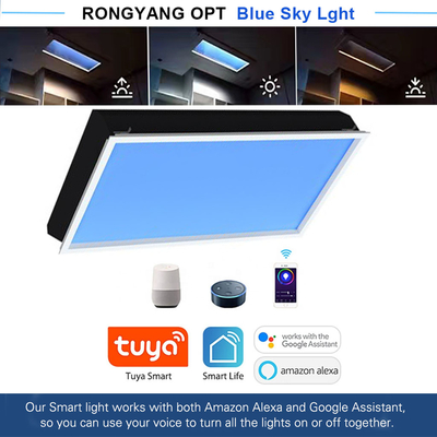 省エネの人工LED天窓 商業用LED屋外照明 3000K-6000K