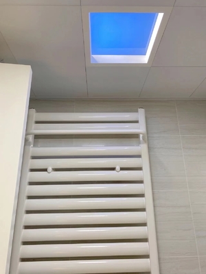 エネルギー省エネの白色人工LED天窓 広範囲の照明カバーと5万時間の光源寿命