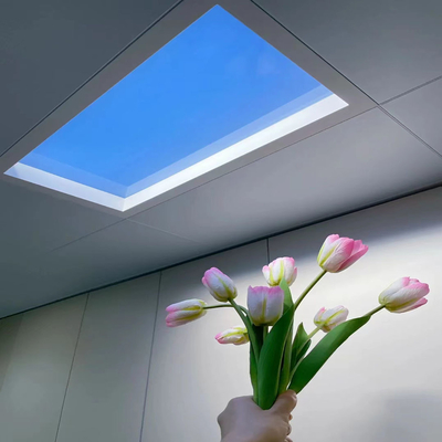 スカイレイ LED 天井照明ランプ 部屋の変形,自然陽光効果,低照明環境に最適