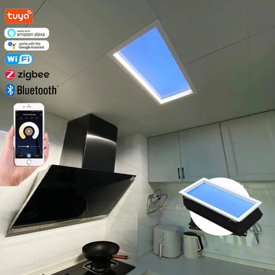 天井に設置された LED フラットパネル ナイトライト ダリサポートとマウントされた方法